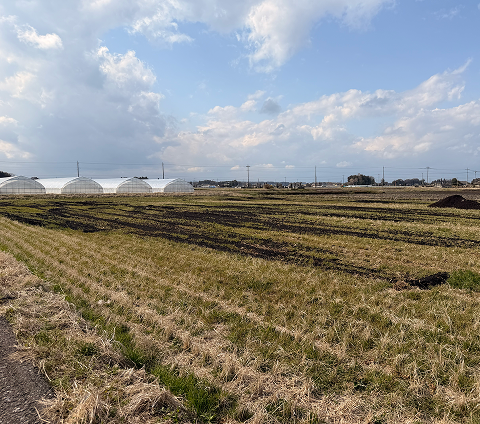 ご利用者様の畑の全景